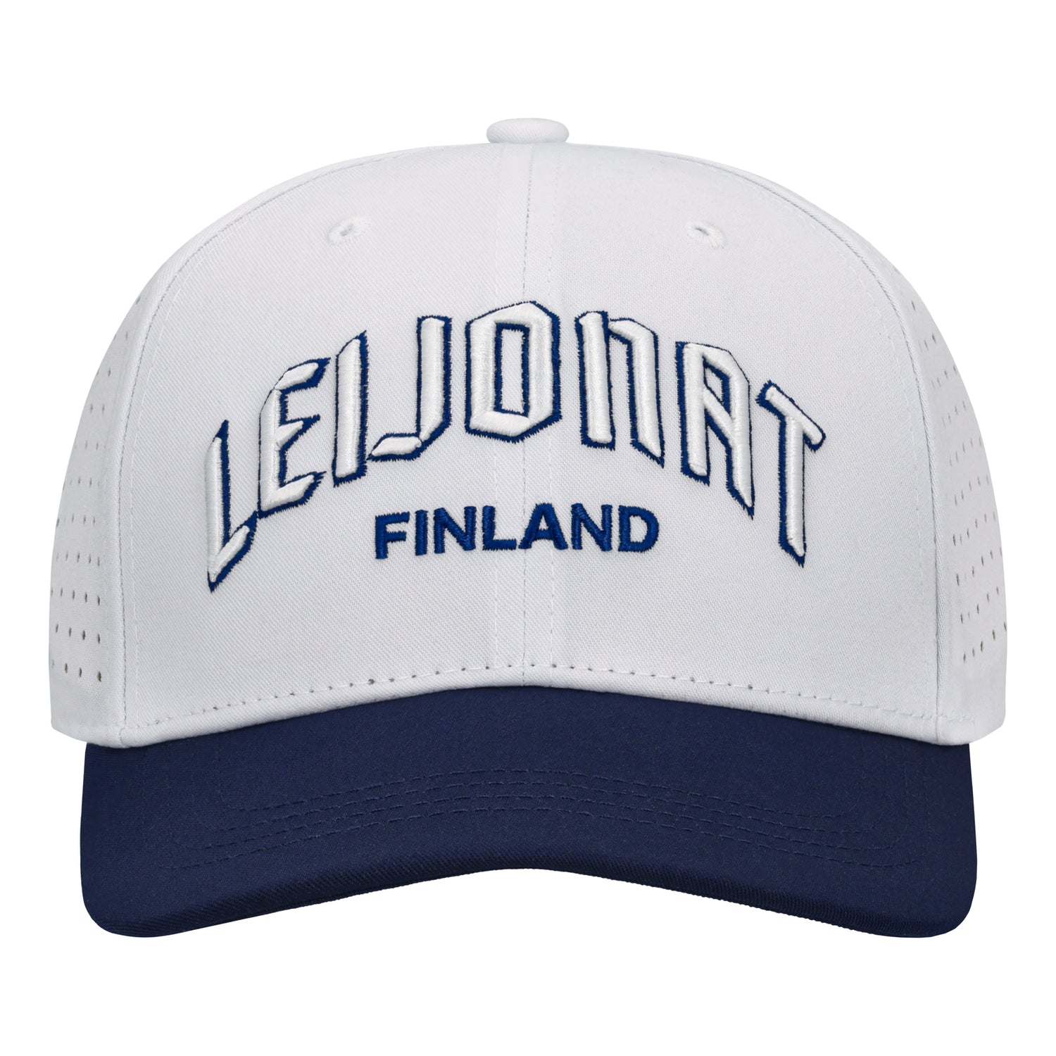 Leijonat lippis