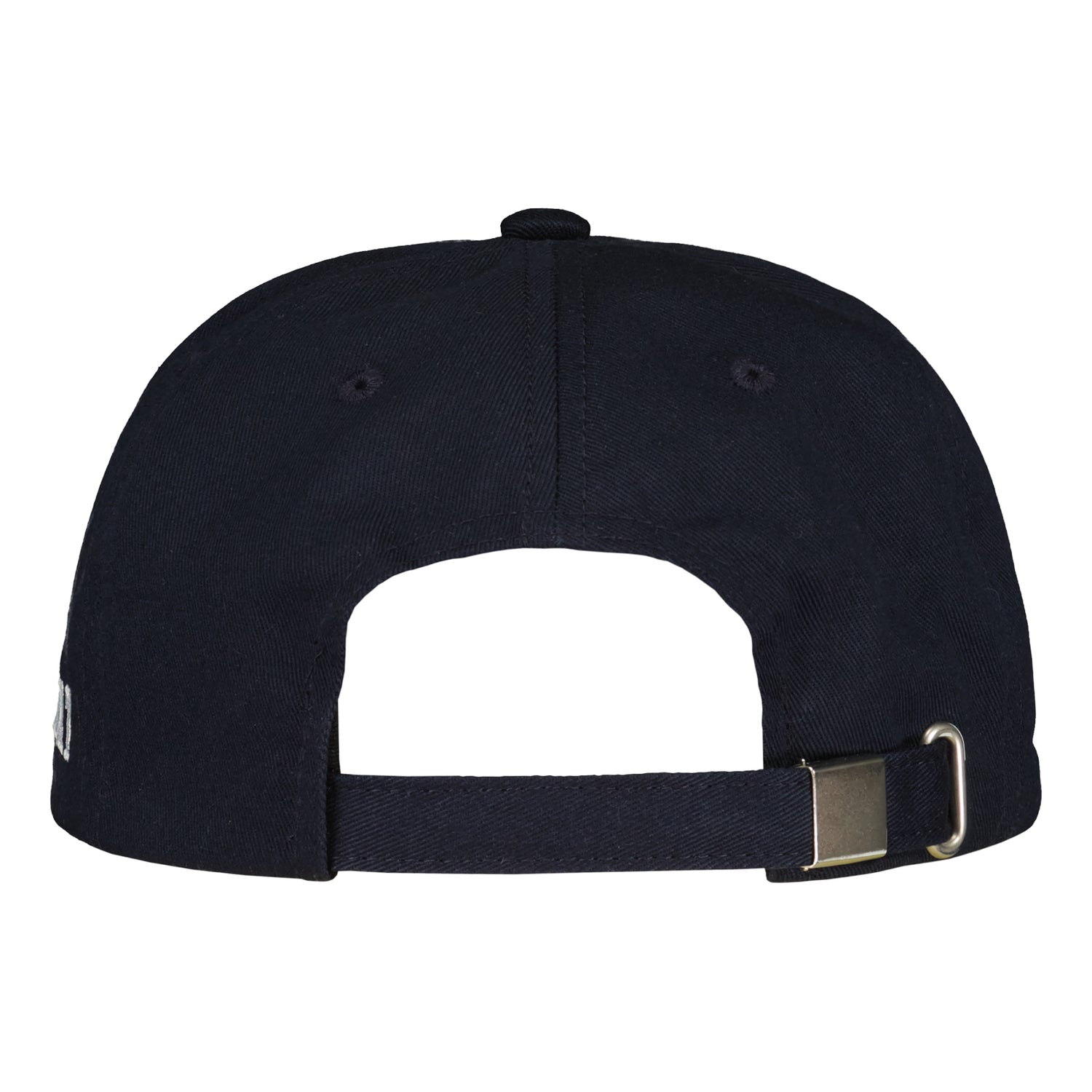 Leijonat narulippis takaa