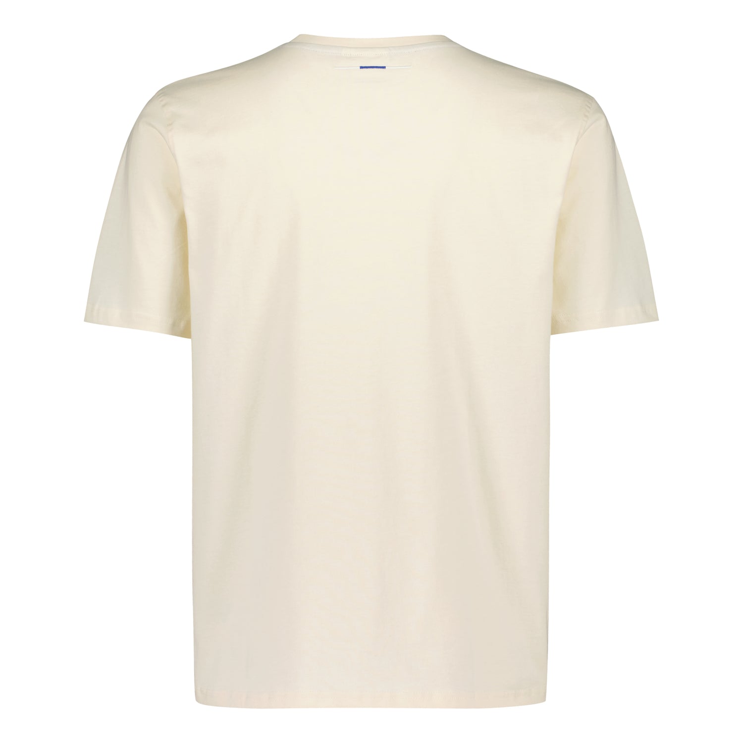 Leijonat Flag T-paita