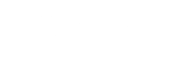 Leijonat Store