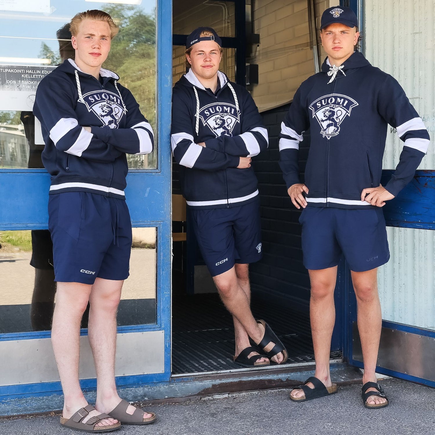 Leijonat pelipaitahuppari