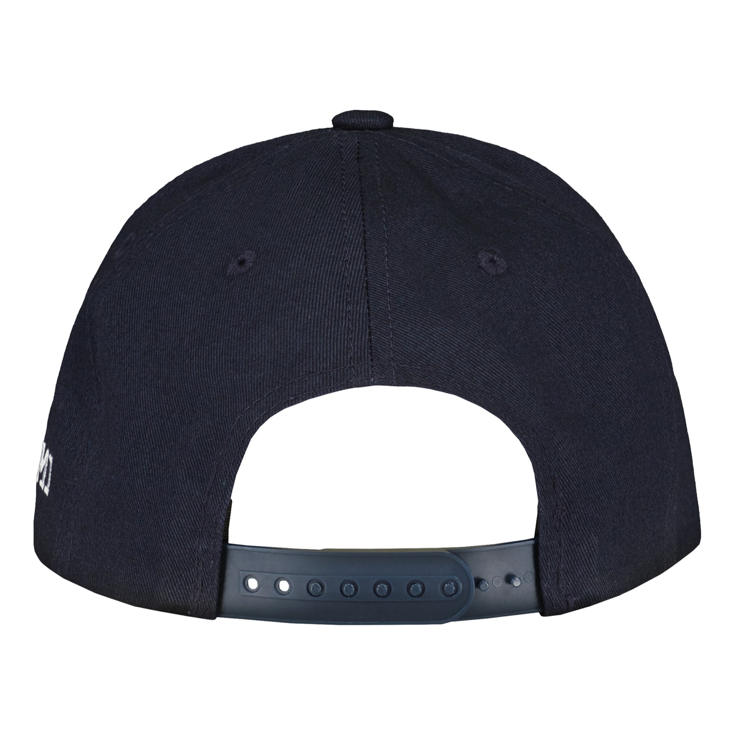 Leijonat logo lippis takaa