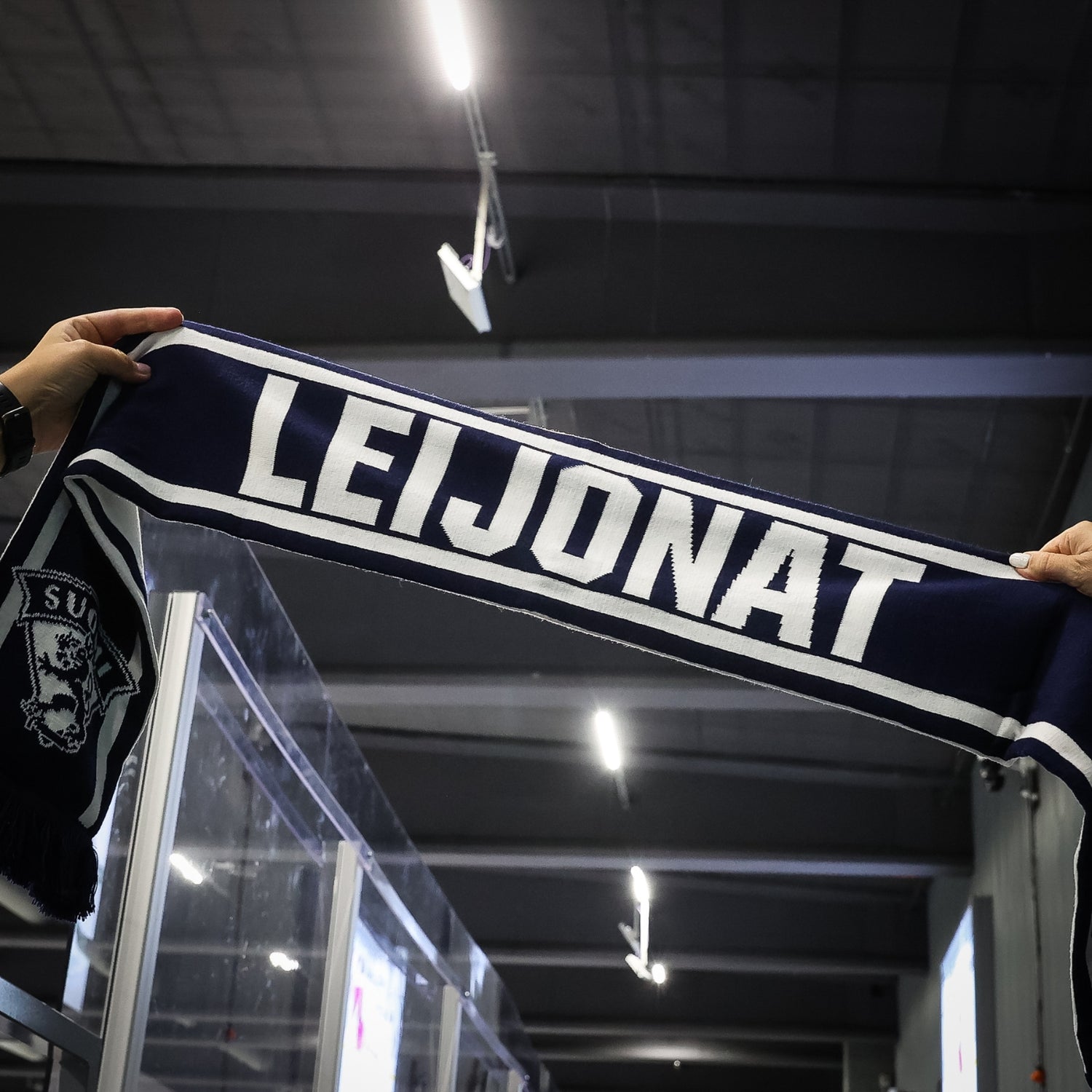Leijonat Fan Scarf