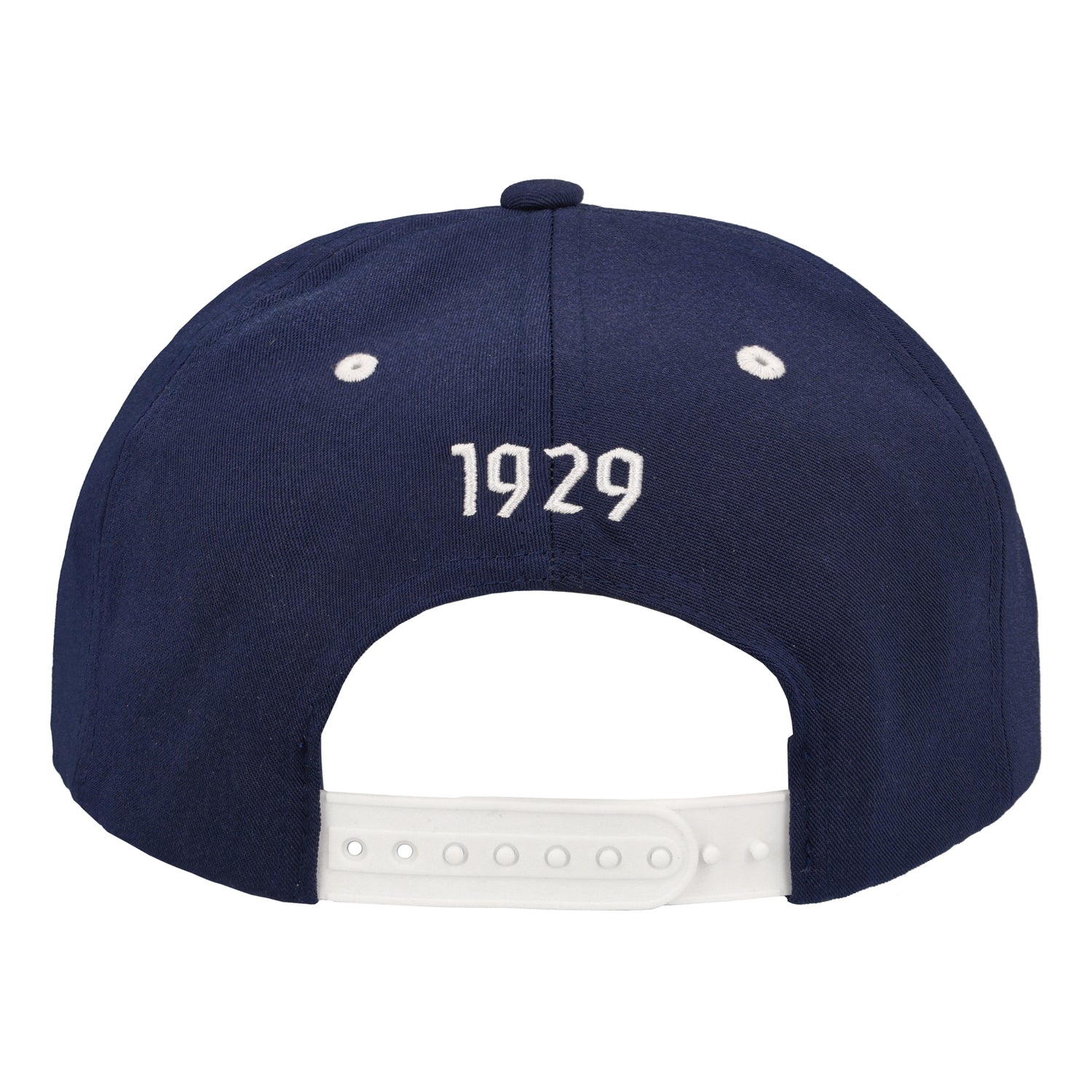 Leijonat narulippis