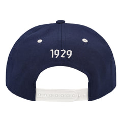 Leijonat narulippis