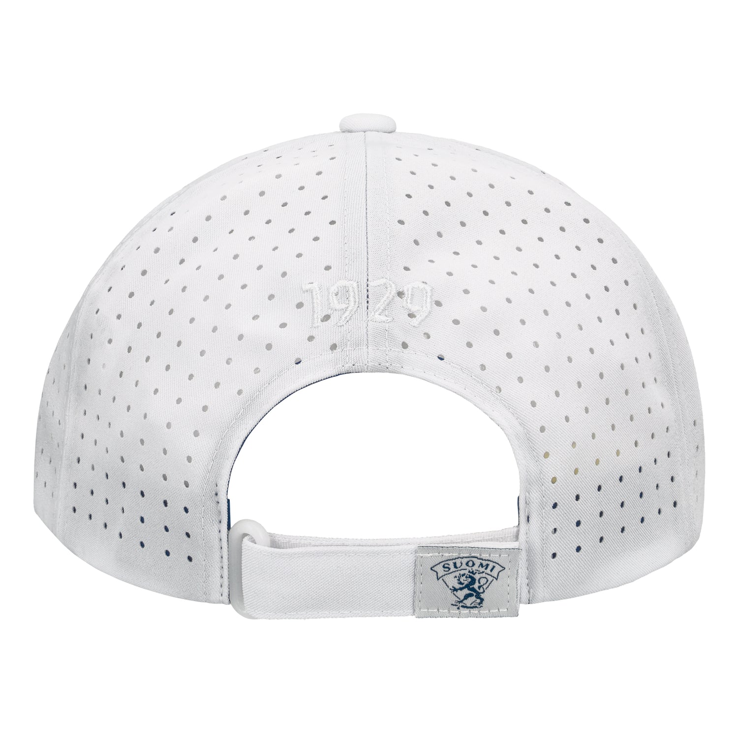 Leijonat lippis