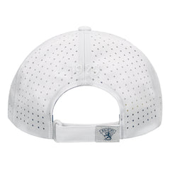 Leijonat lippis