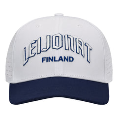 Leijonat lippis
