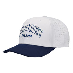 Leijonat lippis