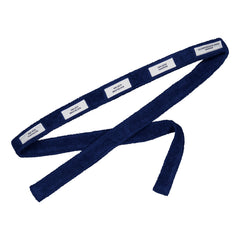 Leijonat Kylpytakki