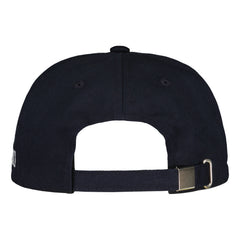 Leijonat narulippis takaa