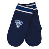 Leijonat lapaset