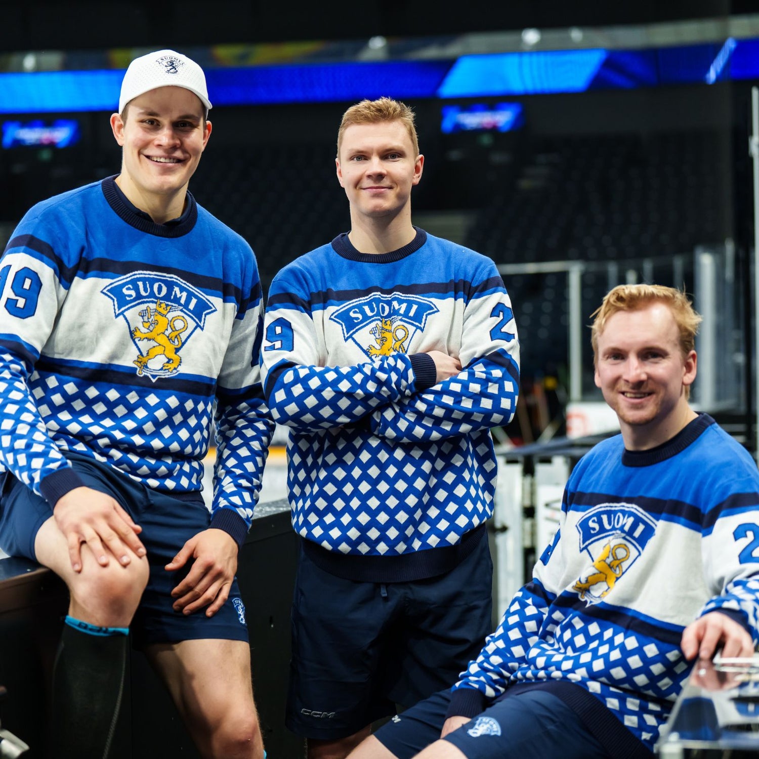 Leijonat neule