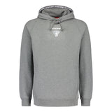 Leijonat CCM hoodie