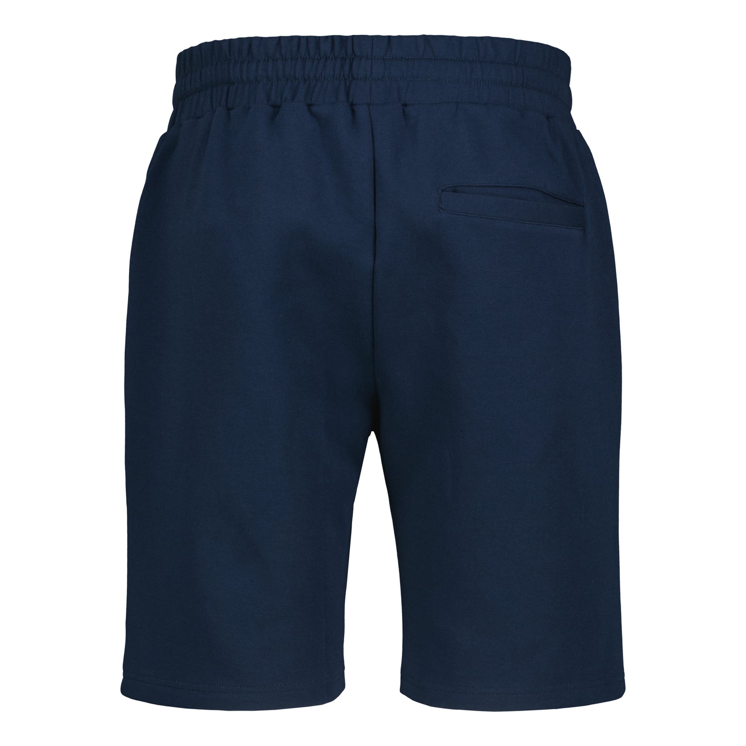 Leijonat Scuba shortsit